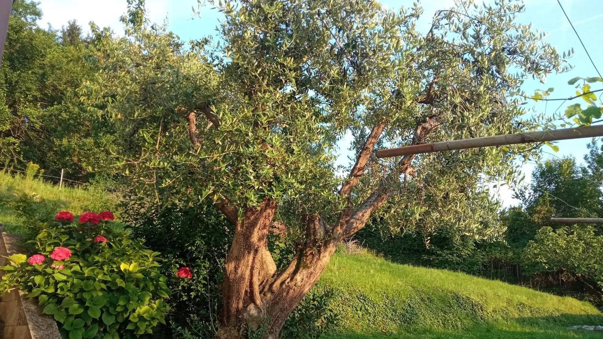 Bergamo Bnb Villa di Serio