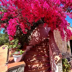 hotel-fertilia.hotelsalgherosardinia.com/